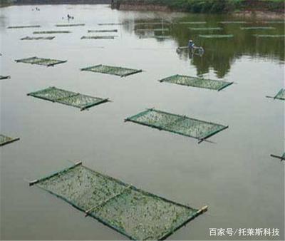 水產(chǎn)養(yǎng)殖智能監(jiān)控系統(tǒng) 再也不用擔(dān)心成活率